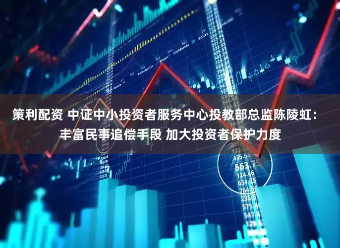 策利配资 中证中小投资者服务中心投教部总监陈陵虹： 丰富民事追偿手段 加大投资者保护力度